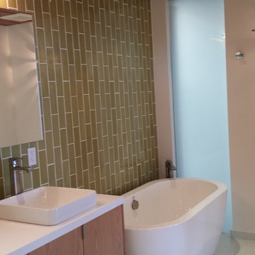 Retro Bathroom remodel