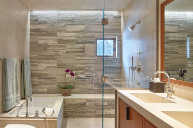 Inspiration for a contemporary bathroom remodel in Other with a hinged shower door