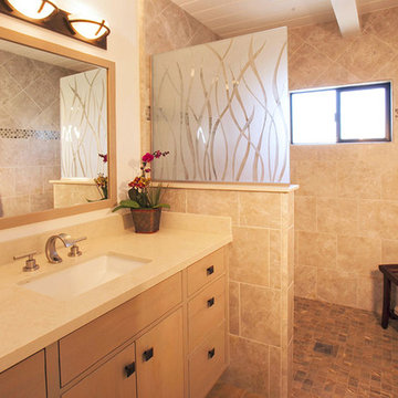 Roll-in Level-entry Shower Bathroom Remodel in Santa Cruz