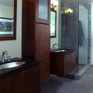 Royal Oak, MI Master Bathroom