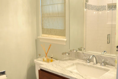 サンフランシスコにあるトランジショナルスタイルのおしゃれな浴室の写真