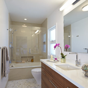 Santa Monica Contemporary Remodel
