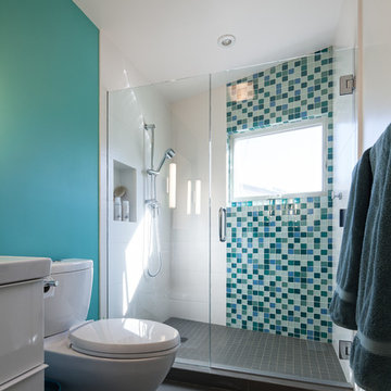 Santa Monica Frederick Monhoff Renovation