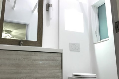 Bathroom - mid-sized modern master bathroom idea in Miami with gray cabinets