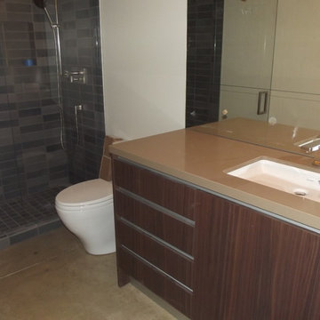 Shower and Vanity