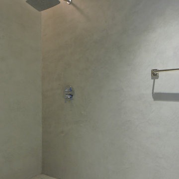 Shower and Walls