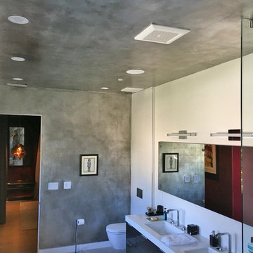 Silver Leaf Bathroom Finish - Walls and Ceiling