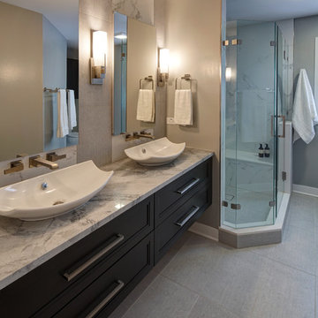 Sleek and Modern Master Bathroom in Palatine, IL