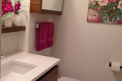 オタワにあるお手頃価格の小さなモダンスタイルのおしゃれなマスターバスルーム (フラットパネル扉のキャビネット、中間色木目調キャビネット、アルコーブ型シャワー、一体型トイレ	、白いタイル、モザイクタイル、白い壁、大理石の床、アンダーカウンター洗面器、クオーツストーンの洗面台) の写真