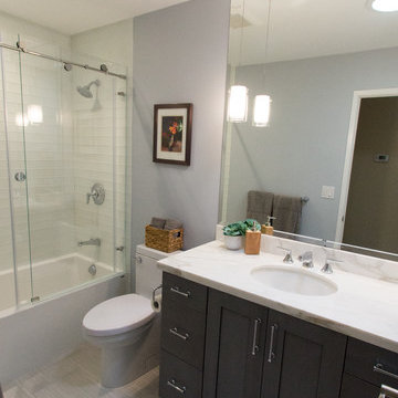 Small Luxury Contemporary Bathroom Design