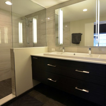 Small Modern Master Bathroom with Gray Tones in Geneva, IL