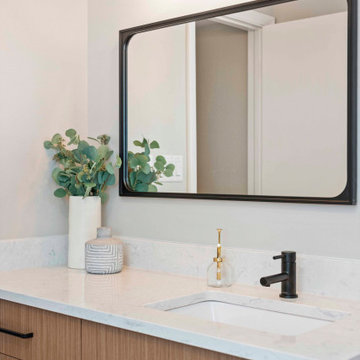 Small Modern Master Bathroom