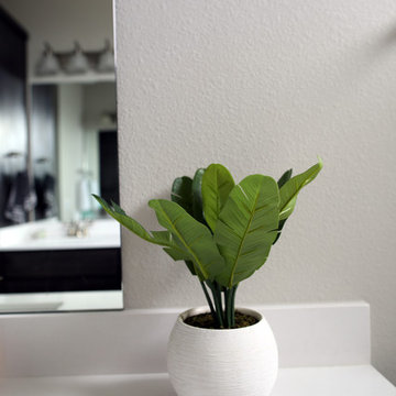 Sneak Peek: Plant Bathroom Styling