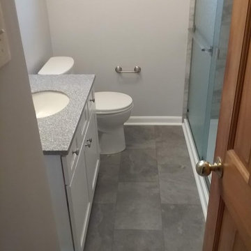 South Buffalo- Gray Bathroom Update