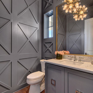 Immagine di una grande stanza da bagno con doccia chic con ante in stile shaker, ante blu, WC monopezzo, pareti grigie, pavimento in legno massello medio e lavabo sottopiano