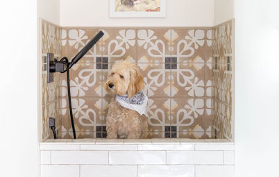 31 Pups in Their Tricked-Out Pet-Washing Stations