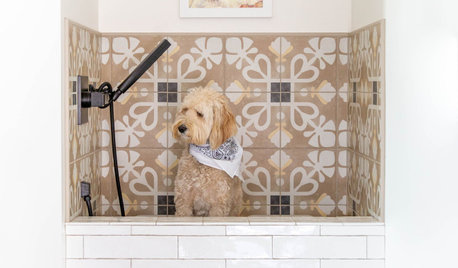 31 Pups in Their Tricked-Out Pet-Washing Stations