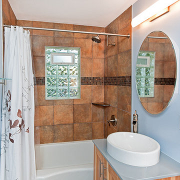 St. Paul Transitional Bathroom Remodel
