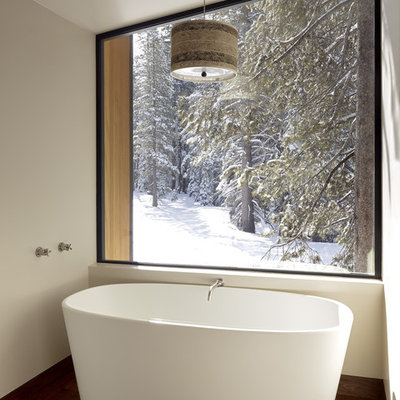 Example of a minimalist freestanding bathtub design in Sacramento
