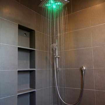 SV master bathroom shower