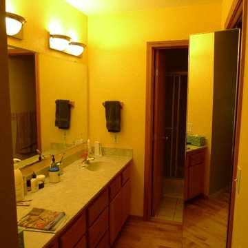 The Bathroom before the Remodel