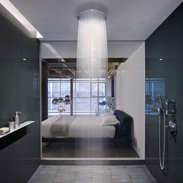 https://www.houzz.com/photos/the-huot-residence-in-the-oriental-warehouse-contemporary-bathroom-atlanta-phvw-vp~3022045