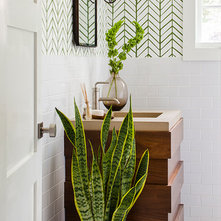 Transitional Bathroom by Beth Kooby Design