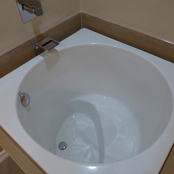Transitional Bathroom