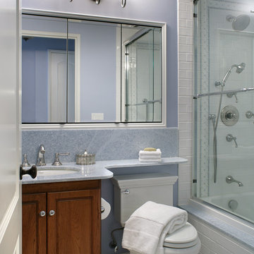 Transitional Bathroom in Blue