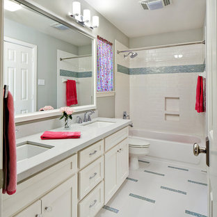 Transitional multicolored floor bathroom photo in Other with recessed-panel cabinets, white cabinets and a niche