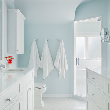 Transitional Chicago Bathroom