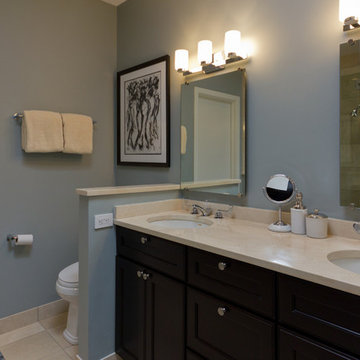 Transitional Lincoln Park, Chicago Master Bath Design Project