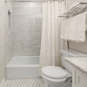 Transitional Master & Guest Bathrooms in Chicago