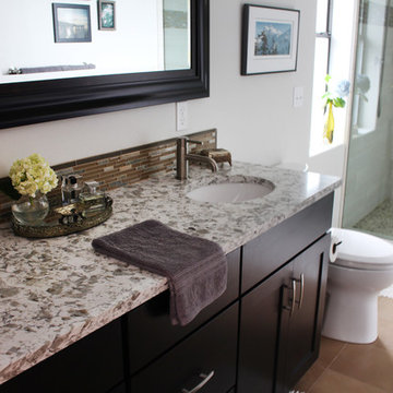 Transitional Master Bathroom Remodel