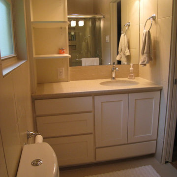Transitional small bathroom, Austin, Texas