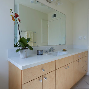 Transitional Style Bathroom Remodel