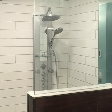 Tub End Wall / Glass Panel Showers