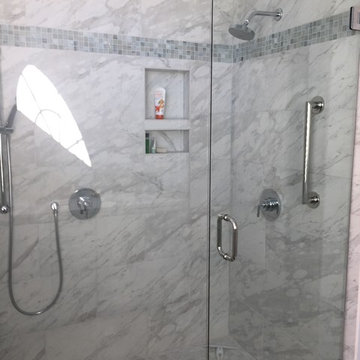Universal Design Transitional Master Bathroom