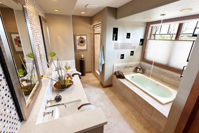 ミルウォーキーにあるトランジショナルスタイルのおしゃれな浴室の写真