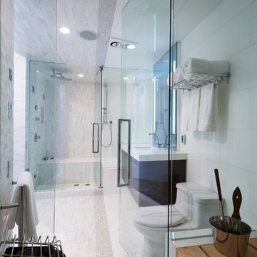 West Bloomfield, MI Contemporary Bathroom