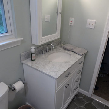 West Chester, PA Master Bath Tub to Shower Conversion