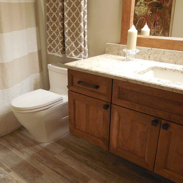 West Des Moines Remodel