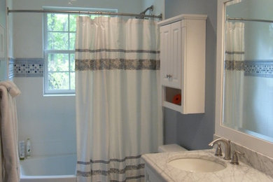 White & Blue Bath in Great Falls, VA