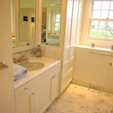 White Raised Panel Bathroom Cabinets