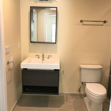 Ziemer Residence- Bathroom Remodel 1