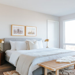 https://www.houzz.com/photos/2019-urban-modern-lifestyle-contemporary-bedroom-san-francisco-phvw-vp~141964906