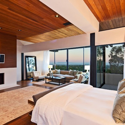 Bedroom - modern dark wood floor bedroom idea in Los Angeles with a standard fireplace