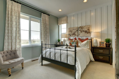 Пример оригинального дизайна: гостевая спальня среднего размера, (комната для гостей) в стиле неоклассика (современная классика) с серыми стенами и ковровым покрытием без камина