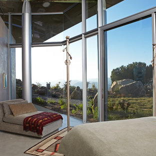Bedroom - contemporary concrete floor and gray floor bedroom idea in Los Angeles