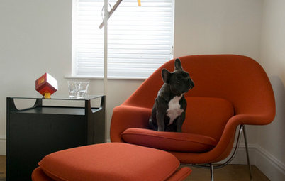 Fun Houzz: If Dogs Designed Homes...